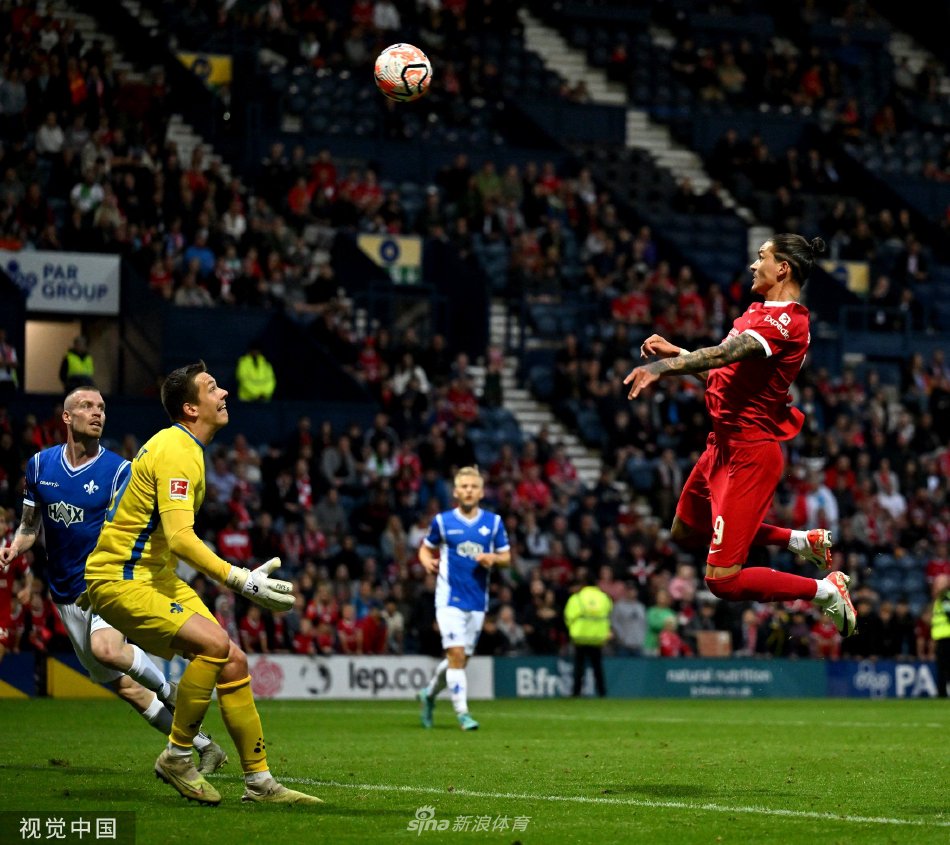 在这篇文章 在这篇文章