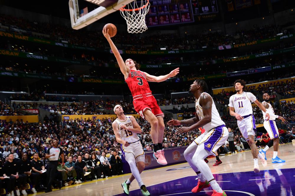 复杂生态 复杂生态